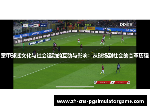 意甲球迷文化与社会运动的互动与影响：从球场到社会的变革历程