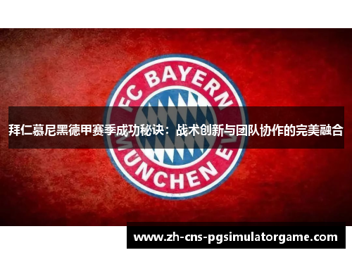 拜仁慕尼黑德甲赛季成功秘诀：战术创新与团队协作的完美融合
