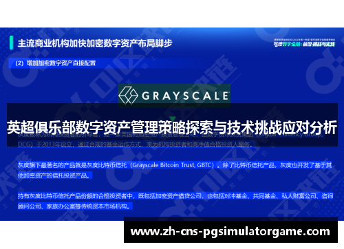 英超俱乐部数字资产管理策略探索与技术挑战应对分析