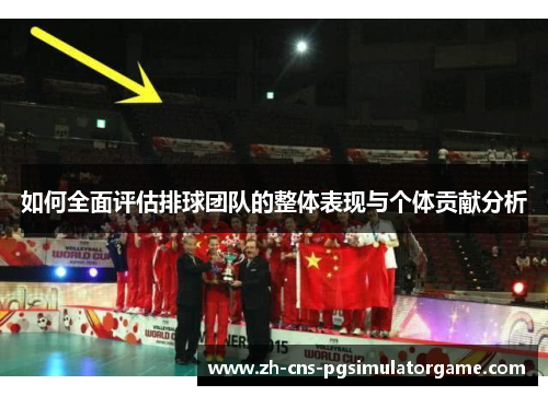 如何全面评估排球团队的整体表现与个体贡献分析
