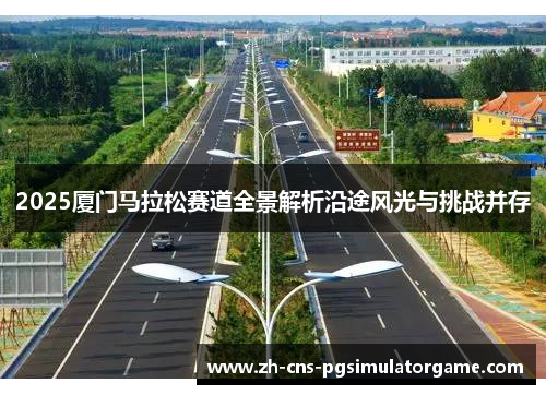 2025厦门马拉松赛道全景解析沿途风光与挑战并存