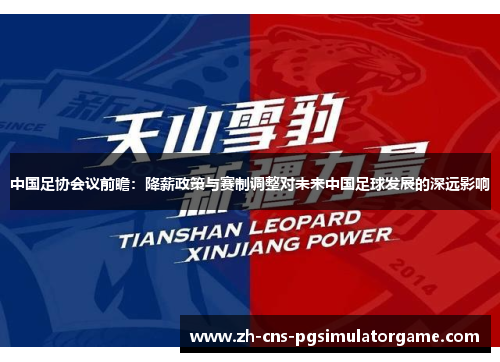 中国足协会议前瞻：降薪政策与赛制调整对未来中国足球发展的深远影响