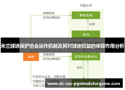 米兰球迷保护协会运作机制及其对球迷权益的保障作用分析 米兰球迷保护协会运作机制及其对球迷权益的保障作用分析