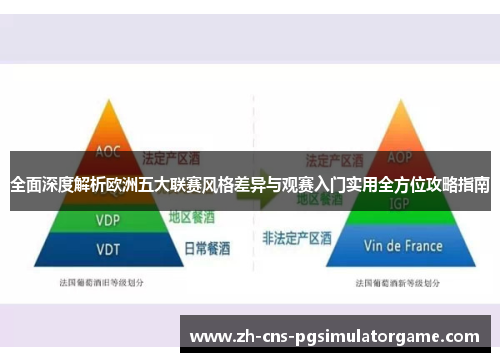 全面深度解析欧洲五大联赛风格差异与观赛入门实用全方位攻略指南 全面深度解析欧洲五大联赛风格差异与观赛入门实用全方位攻略指南