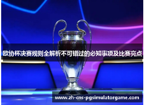 欧协杯决赛规则全解析不可错过的必知事项及比赛亮点 欧协杯决赛规则全解析不可错过的必知事项及比赛亮点