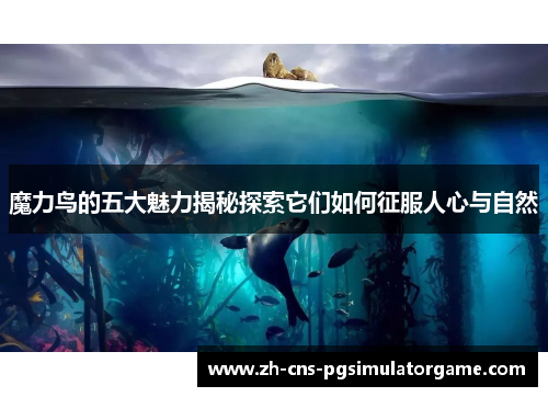 魔力鸟的五大魅力揭秘探索它们如何征服人心与自然