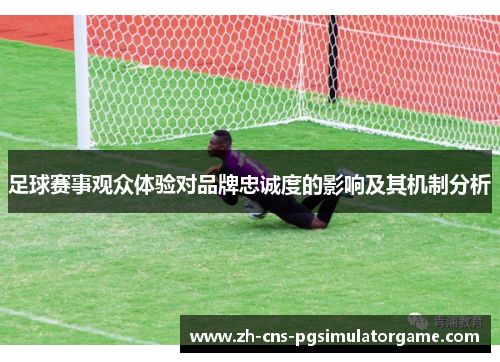 足球赛事观众体验对品牌忠诚度的影响及其机制分析