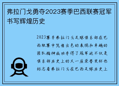 弗拉门戈勇夺2023赛季巴西联赛冠军书写辉煌历史